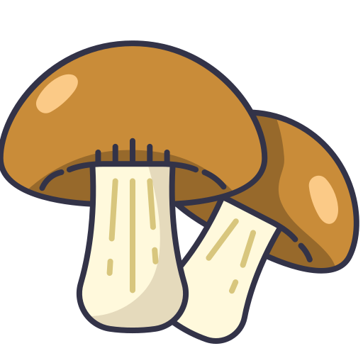 Champignons